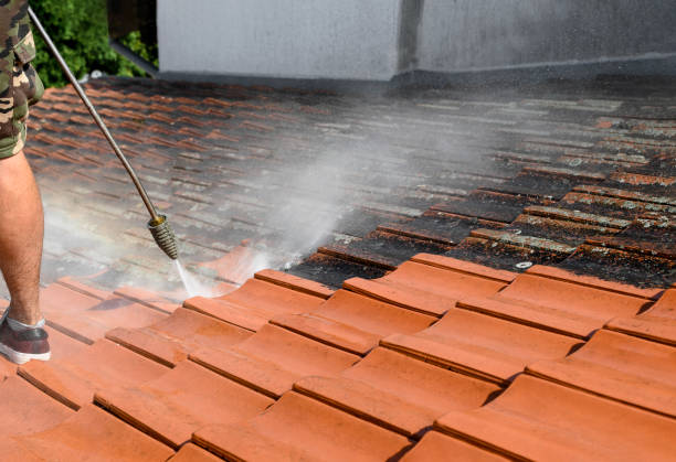 Best Affordable Power Washing  in Pendleton, IN