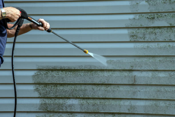 Best Roof Pressure Washing  in Pendleton, IN