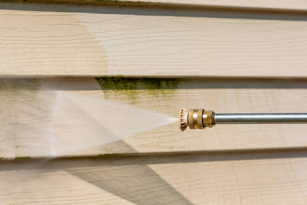 Best Deck Pressure Washing  in Pendleton, IN